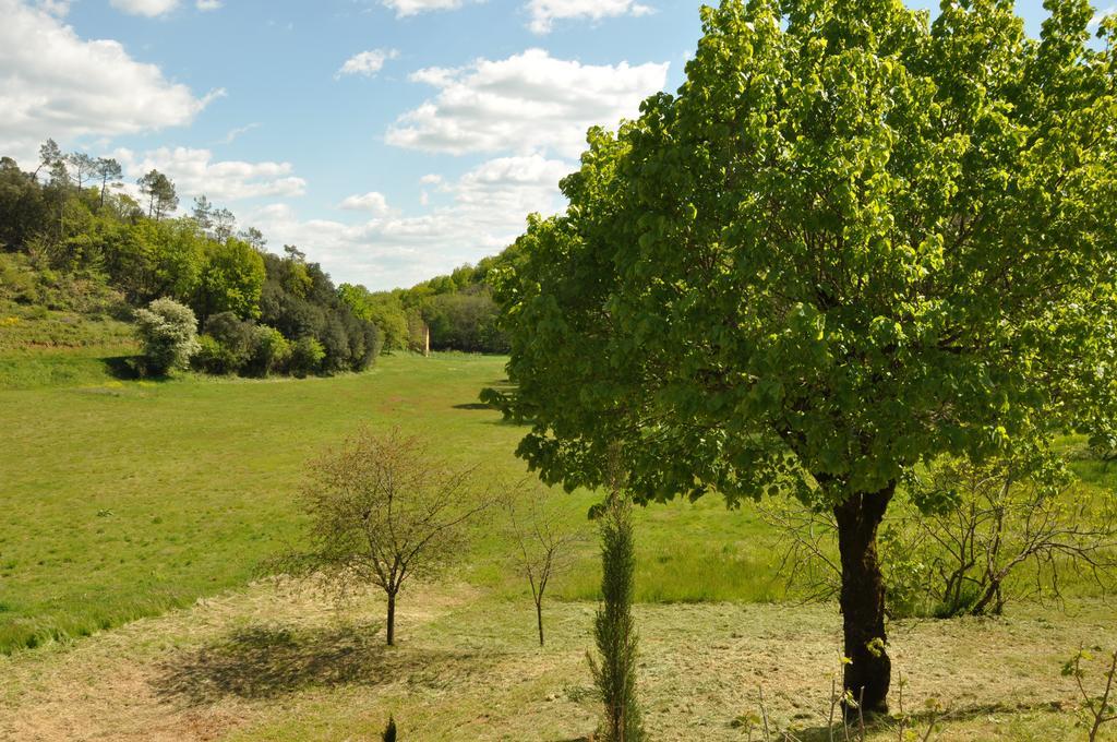 Gite Chez Le Gaulois Carsac-Aillac Экстерьер фото