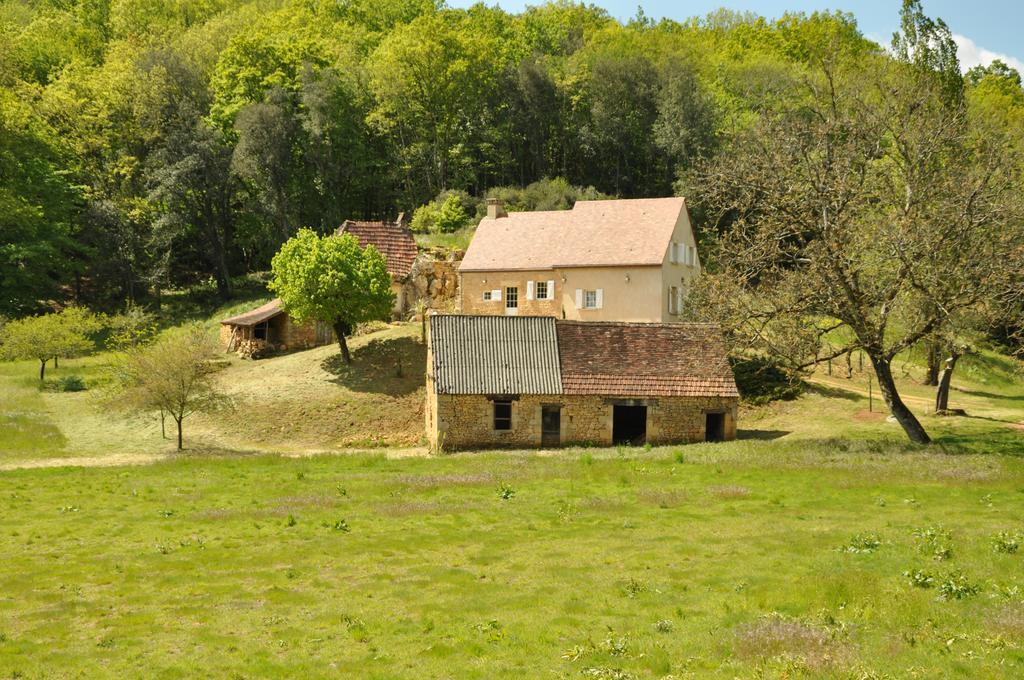 Gite Chez Le Gaulois Carsac-Aillac Экстерьер фото