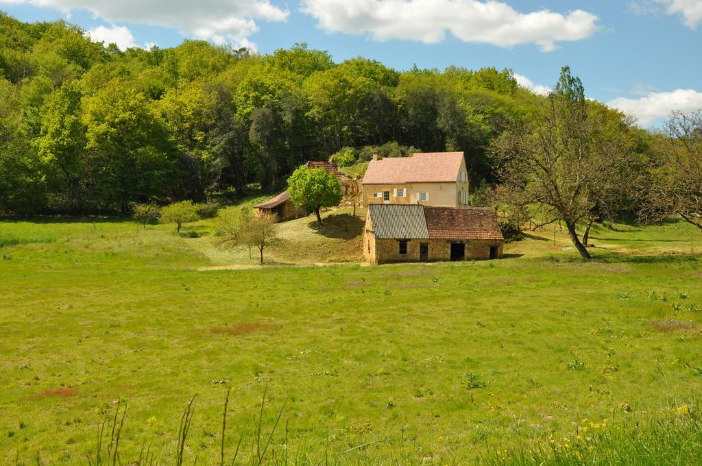 Gite Chez Le Gaulois Carsac-Aillac Экстерьер фото