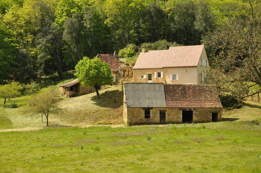 Gite Chez Le Gaulois Carsac-Aillac Экстерьер фото